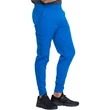 Dickies Men's Jogger Royal Blue DK040-ROY - Royal blue
