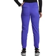 Dickies Woman's Mid Rise Jogger Pant DK155-FZGR - Frozen Grape