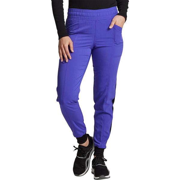Dickies ženske hlače ljubičasta - DK155-FZGR